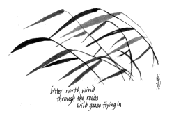 Haiga - Maggie West image