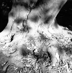 Untitled - Brian Pomeroy
