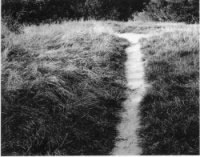 Brian Pomeroy - Untitled