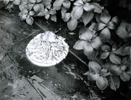 Untitled - Brian Pomeroy
