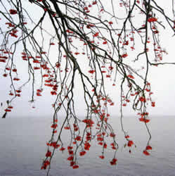 Näsijärvi - Photograph by Teija-Tuulia Ahola
