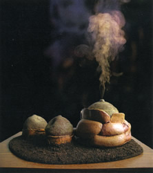 Puffing Fungi - Andrea Roe