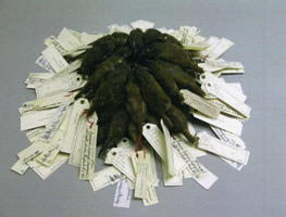 60 Wrens - Andrea Roe