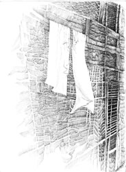 Untitled - Imtiaz Dharker