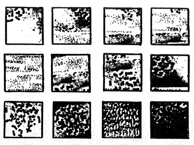 bob cobbing - mary rudolf's chromosomes