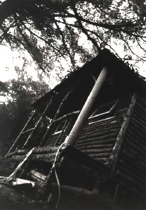 Photograph of a house