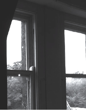 Photograph taken from inside house, looking out of window