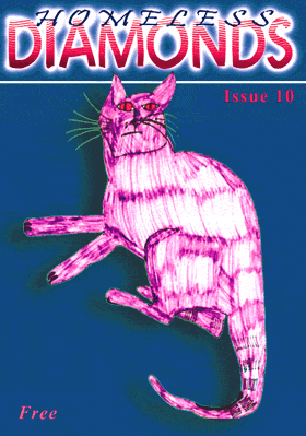 Homeless Diamonds 10 front cover