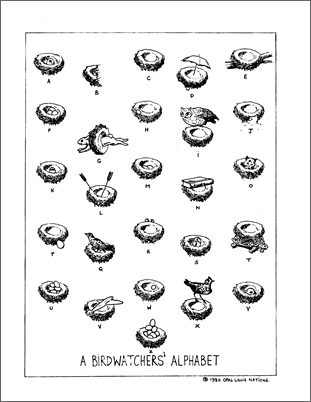 A birdwatchers' alphabet