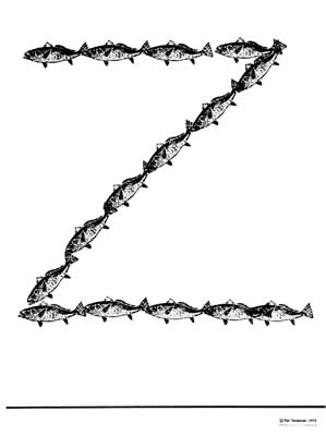 X Y & Z Chromosomes - image
