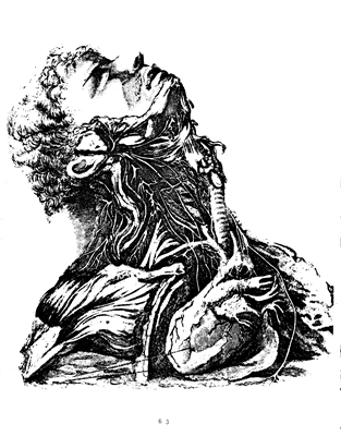 Untitled image