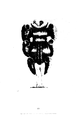 Untitled image