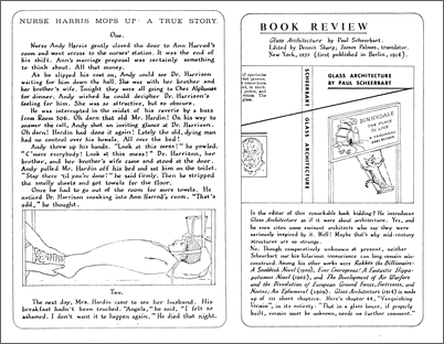 Page 31 text and images together
