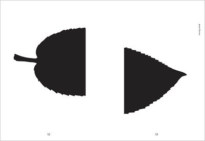 Black and white abstract image