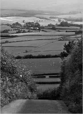 black and white photo