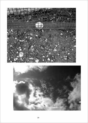 black and white photo
