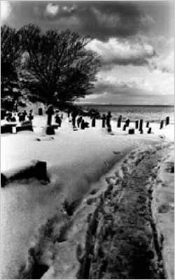 black and white photo