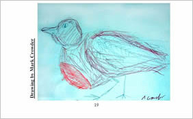 drawing of a bird
