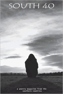 South 40 front cover - photo of Avebury