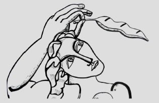 drawing of a face looking up at a leaf held above its head