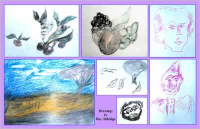 Drawings of berries, other fruit and nature.