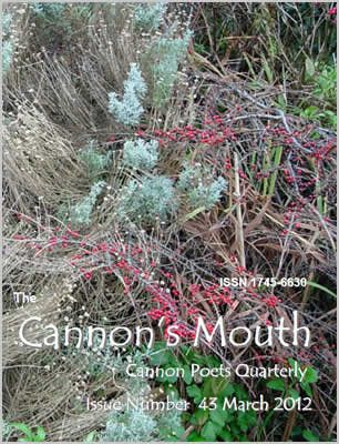 Cannon's Mouth Cover