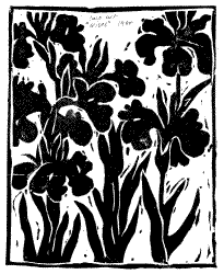 Jo Haslam - Untitled