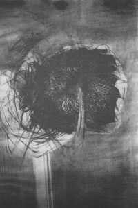 Brian Taylor - Untitled