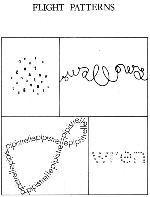John Sewell - Flight Patterns
