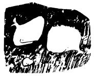 Illustration by Ted Schofield