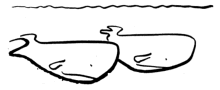 Illustration by Ted Schofield