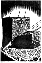 Section through Mammalian Skin - Mary French