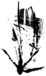 Bob Cobbing - Untitled