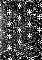 Oasis 6 - endpapers