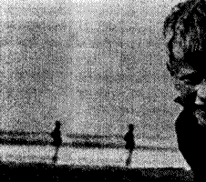 Untitled Photograph