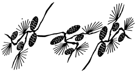 Untitled illustration