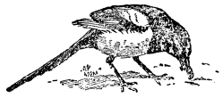 Untitled illustration