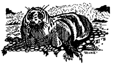 Untitled illustration