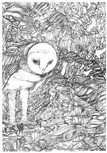 Simon Davies - The Owl