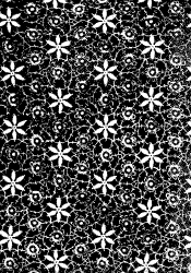 Endpapers