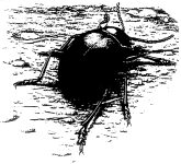 Untitled illustration