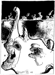 Ruari Macinnes - Untitled illustration