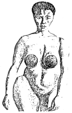 Untitled illustration