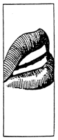 Untitled illustration