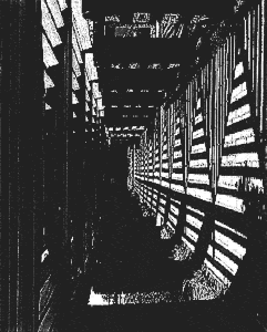 Marsha Levin - Untitled illustration