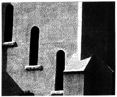Marsha Levin - Untitled illustration
