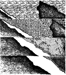 Drawing - Stanley Engel