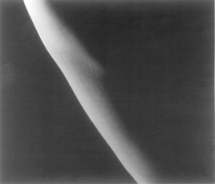 Jane Harrison - Photograph on p 81