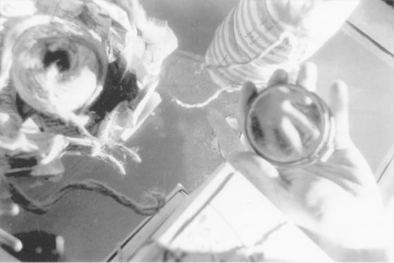 Annika Reed - Photograph on p 62