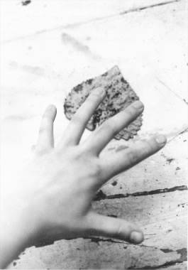 Annika Reed - Photograph on p 79